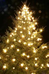 christmas tree